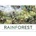 Rainforest - DK