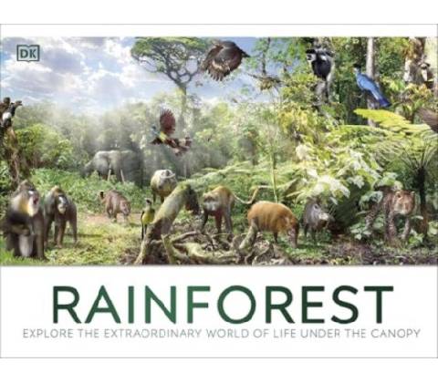 Rainforest - DK