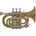Bach PT 650