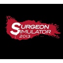 Surgeon Simulator 2013