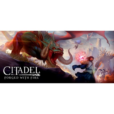 Citadel: Forged With Fire