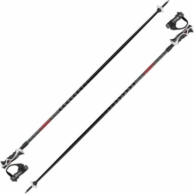 Leki Hot Shot S 2023/24 – Zbozi.Blesk.cz