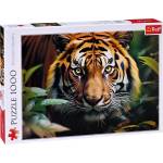 Trefl Пъзел Trefl от 1000 части - Див тигър (10798)