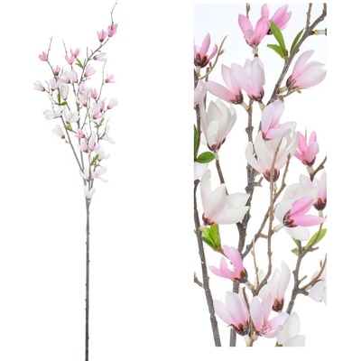 KONÁR GINSTER RUŽ. 89CM