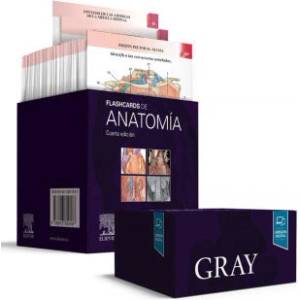 Gray. Flashcards de Anatomía (ISBN: 9788413820187)