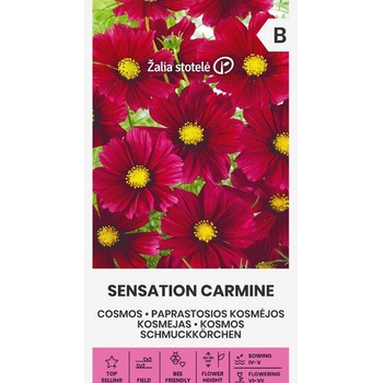 Seklos Цветя Космос Червени / Sensation Carmine