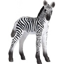 Animal Planet Zebra mláďa