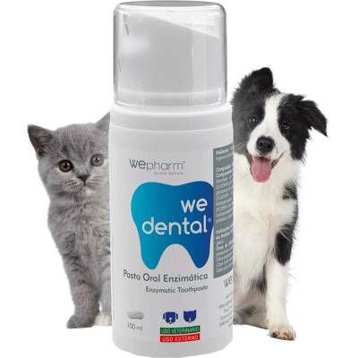 WePharm Wdental Enzymatická pasta 100 ml – Zboží Mobilmania
