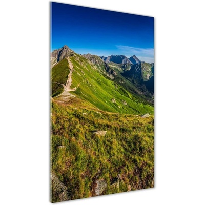 Vertikálny foto obraz sklenený Tatry 50x100 cm