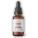 Blendea Chaga adaptogén 30 ml