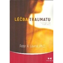 Léčba traumatu