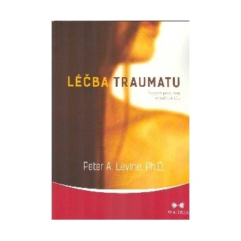 Léčba traumatu