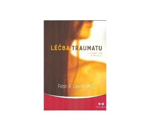 Léčba traumatu