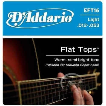 D'addario EFT16