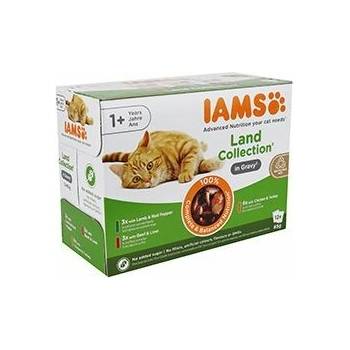 Iams Cat Multibox zo suchozemského mäsa 12 x 85 g