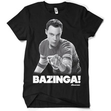 Big Bang Theory Sheldon Says Bazinga