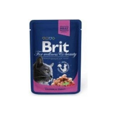 Brit Premium Cat Salmon & Trout 24 x 100 g