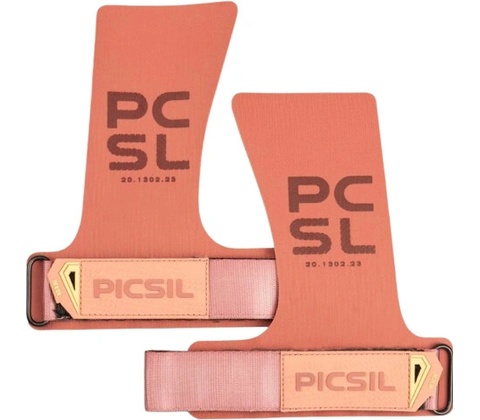 PICSIL Heron
