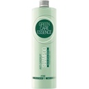 BBcos GCE AntiDandruff šampon proti lupům 250 ml
