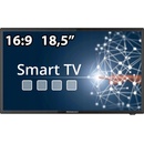 Megasat Camping TV Royal Line IV 19" SMART