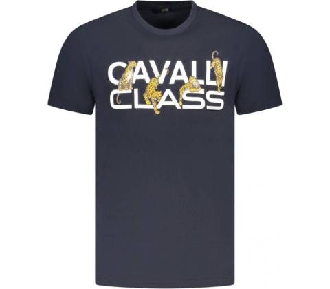 Cavalli class modré