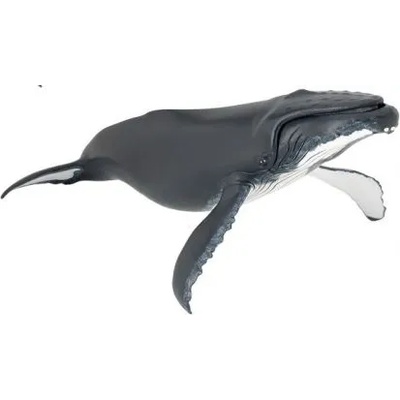 Papo - Фигурка за колекциониране и игра - Гърбат кит (56001)