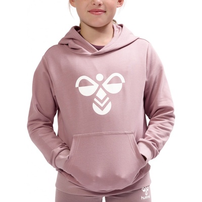 Hummel hml Cuatro Hoodie 213850-4852
