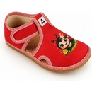 Antal Rascal Ladybug