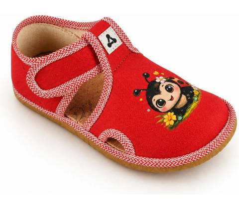 Antal Rascal Ladybug