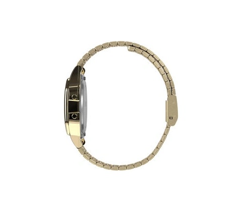 Timex TW2R79200