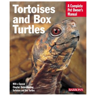 Tortoises and Box Turtles