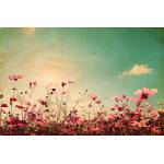 DIMEX ART Флизелинов фототапет винтидж поле 375 x 250 см