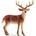 Schleich Фигурка Schleich Wild Life America - Белоопашат елен (14818-02960)