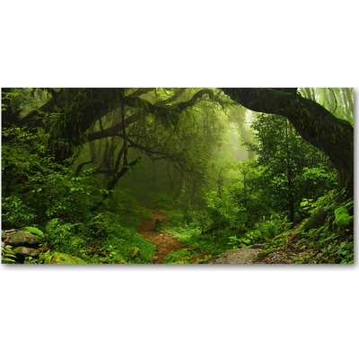 Fotoobraz sklenený na stenu do obývačky Prales v Nepále 100x50 cm