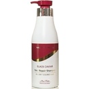 Mon Platin Total Repair ozdravujúci šampón na suché a farbené vlasy 500 ml