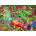 Heye - Puzzle Lectrr: Fantasyland - 1 000 piese