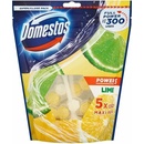 Domestos Power 5 tuhý WC blok Lime 5 x 55 g