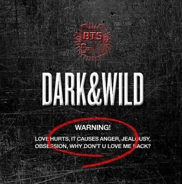 BTS: VOL.1 - DARK & WILD CD