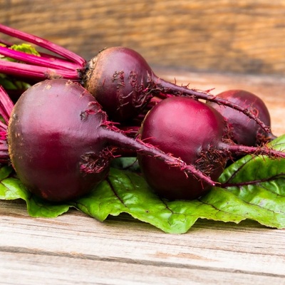 Řepa salátová - červená kulatá - Beta vulgaris - semena řepy - 140 ks