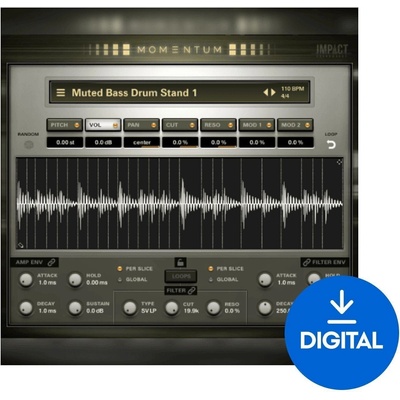 Impact Soundworks Momentum - Acoustic Rhythmic Loops (Дигитален продукт)