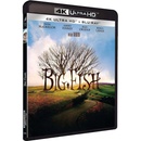 Big Fish BD