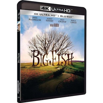 Big Fish BD