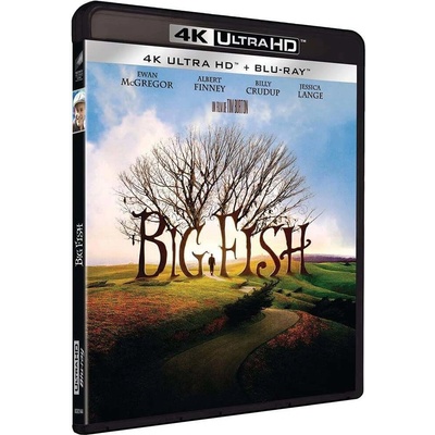 Big Fish BD