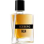 Iceberg Man 2015 EDT 100 ml Парфюми