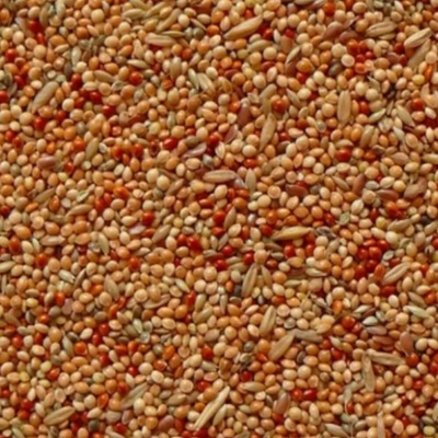 Avicentra Classic menu Andulka 1 kg