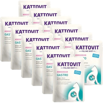 Kattovit Feline Gastro losos a ryža 12 x 85 g