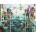 Ravensburger - Puzzle If Fish Could Walk - 2 000 piese