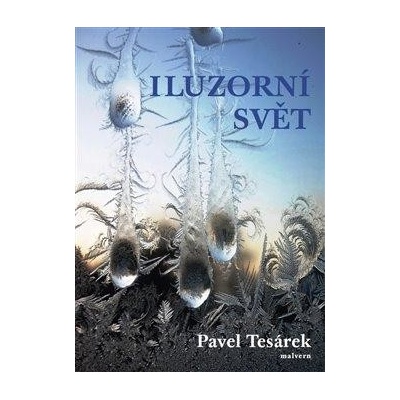 Iluzorní svět