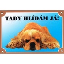 Dafiko Tabulka kokršpaněl americký ležící