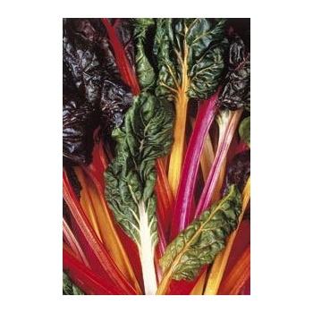 Семена от Манголд "Beta vulgaris" - 5 цвята - 100 броя (280900)